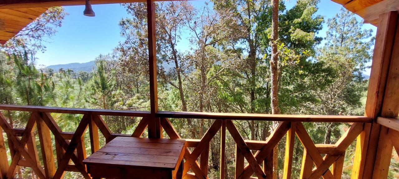 Cabana En El Bosque De San Jose Del Pacifico 3 Bagian luar foto